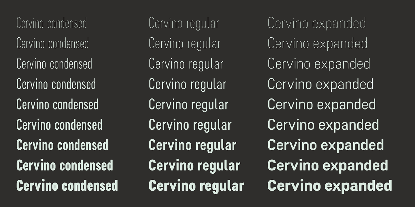 Beispiel einer Cervino Regular Neue Italic-Schriftart